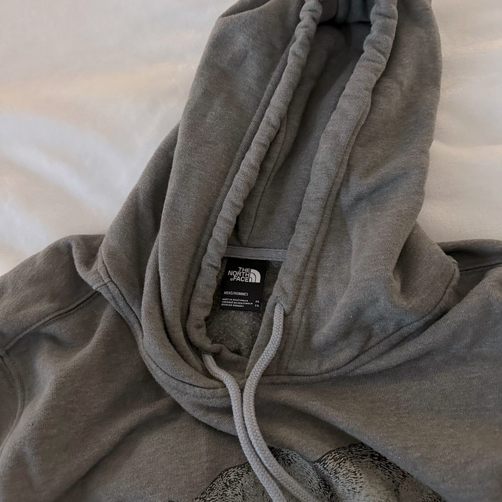 The North Face Bear Graphic Hoodie - Picture 2 of 3